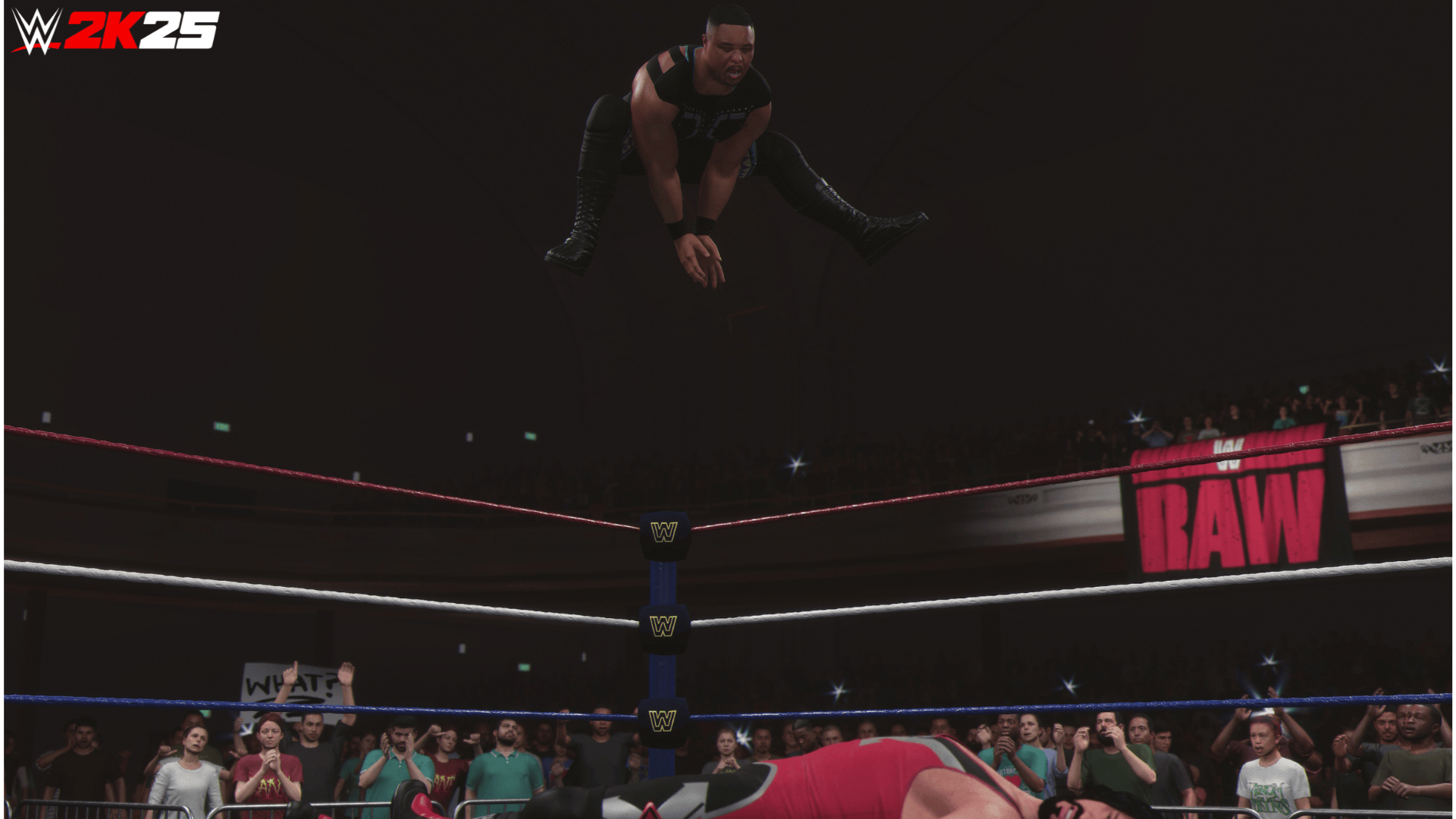WWE2K25