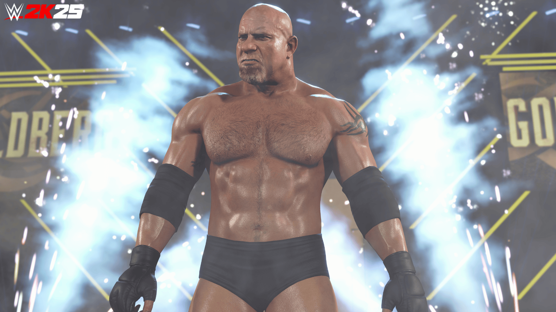 WWE2K25