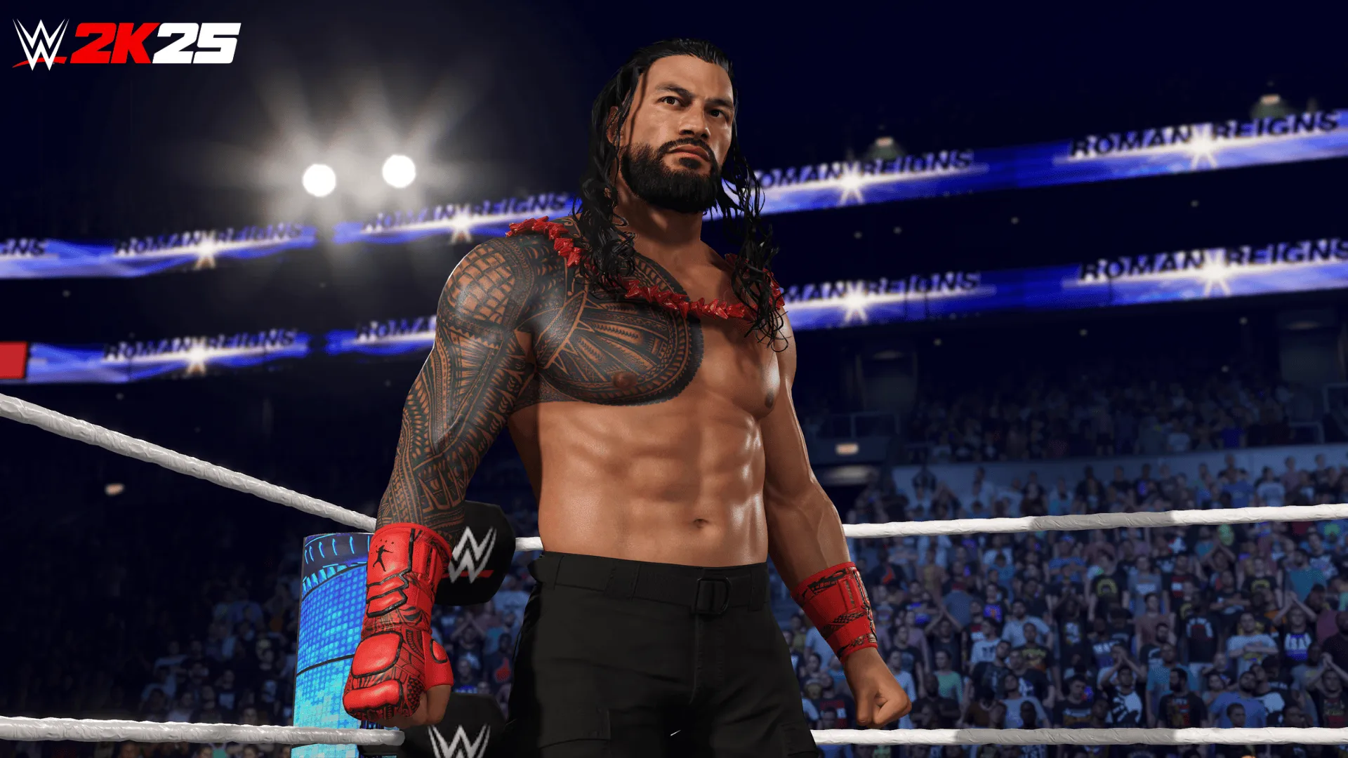 WWE2K25