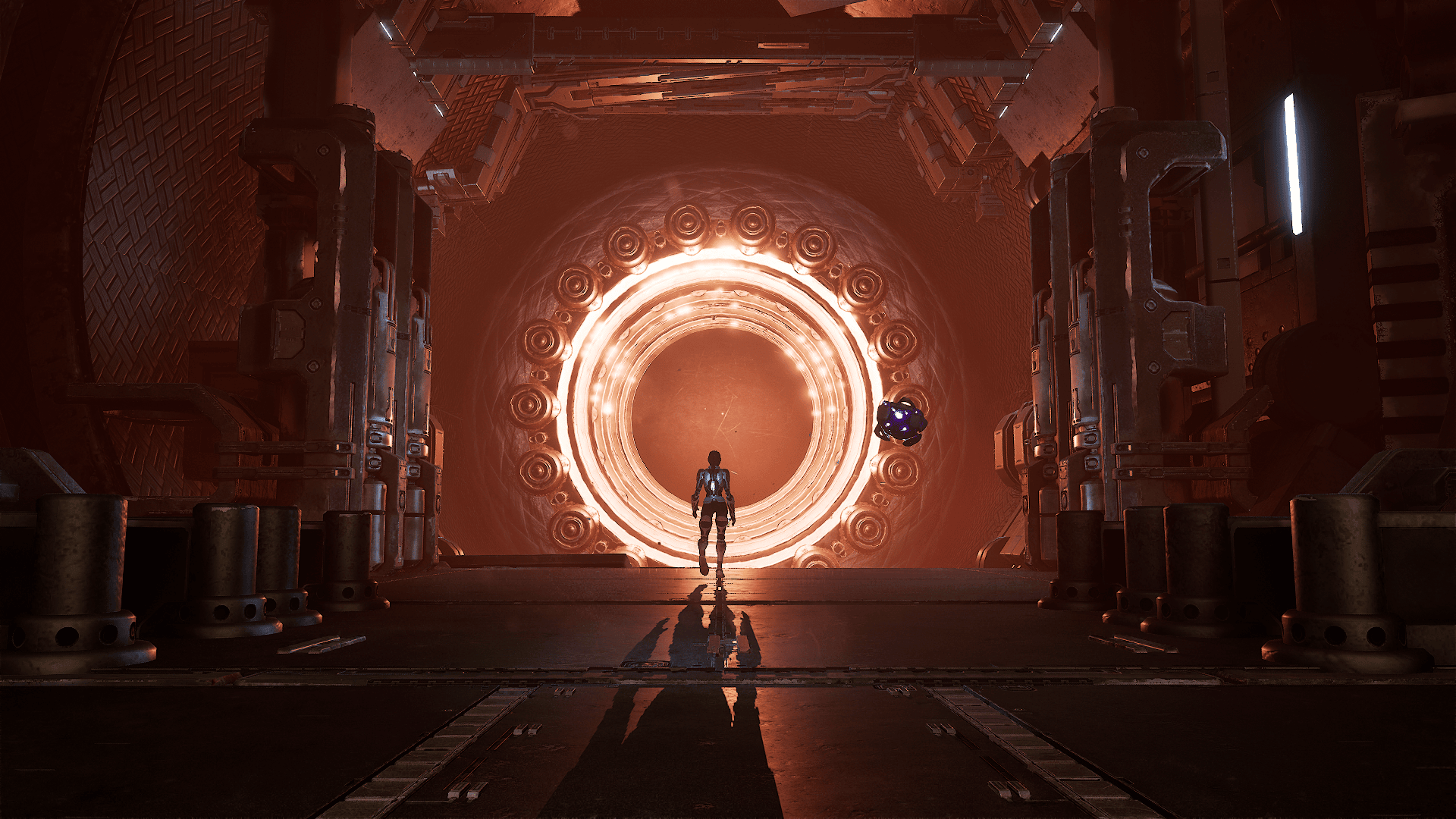 Steel Seed