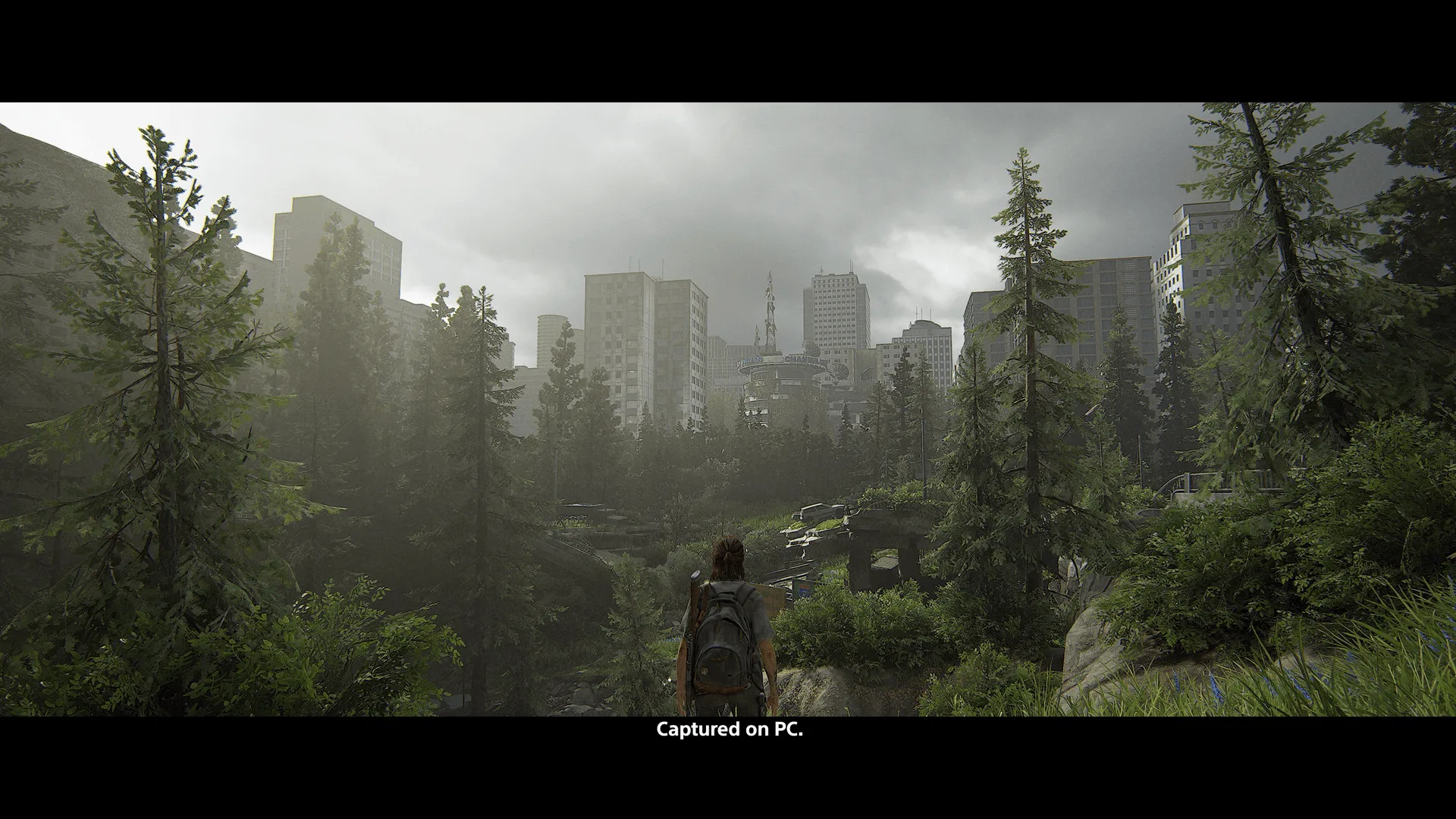 The Last of Us Part Two Remasterd PC