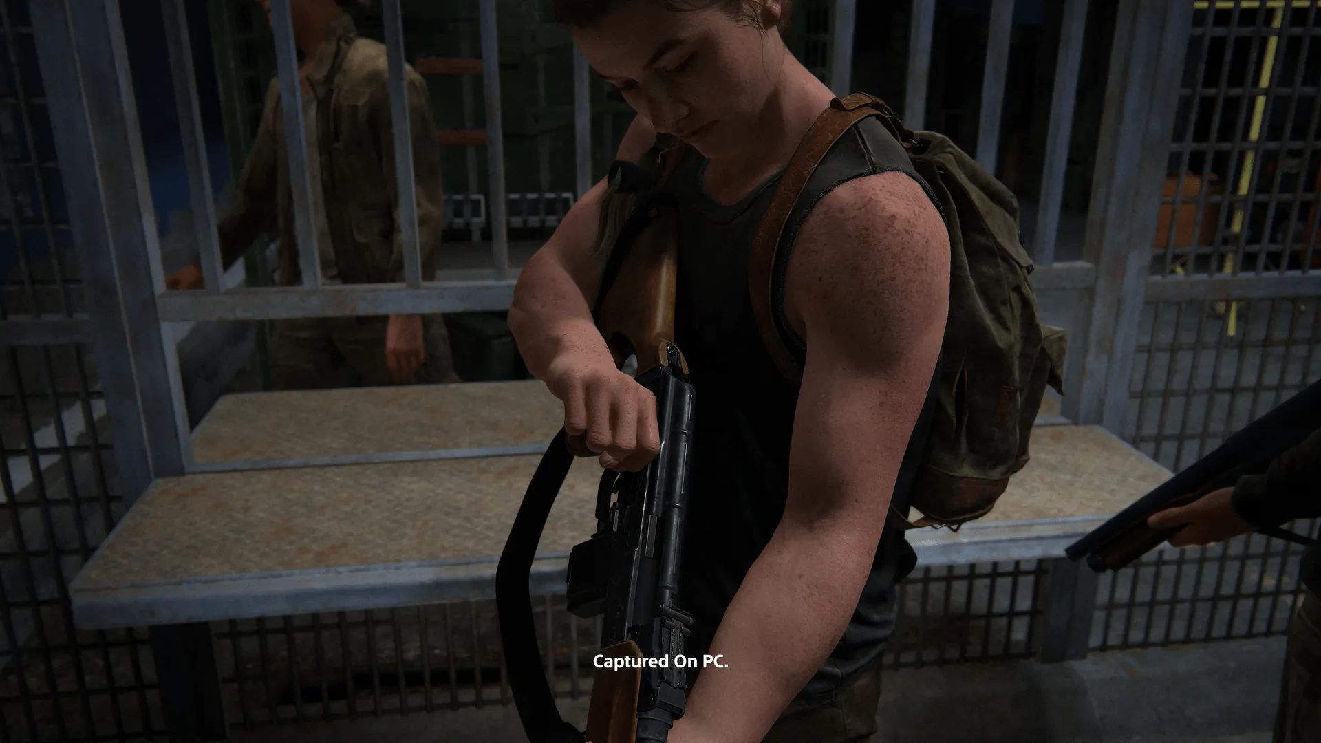 The Last of Us Part Two Remasterd PC