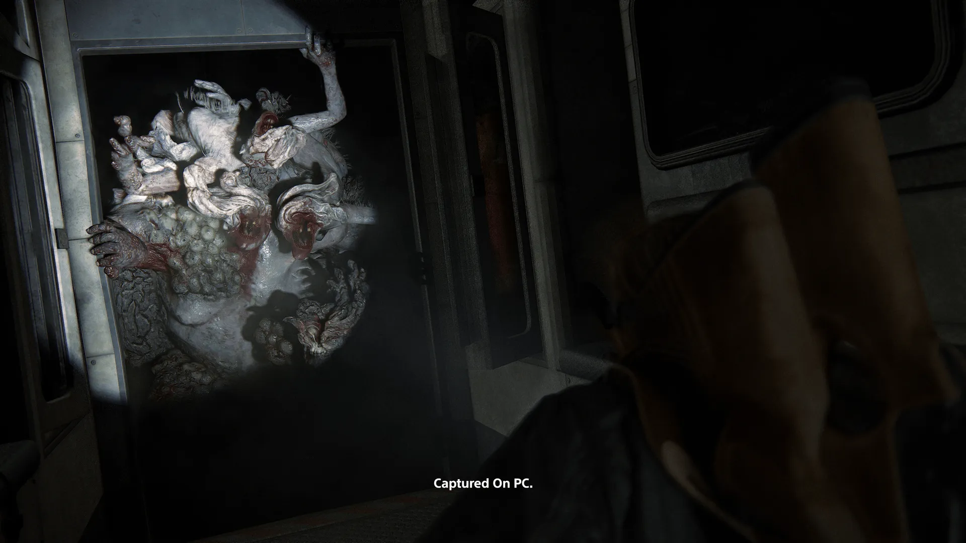 The Last of Us Part Two Remasterd PC