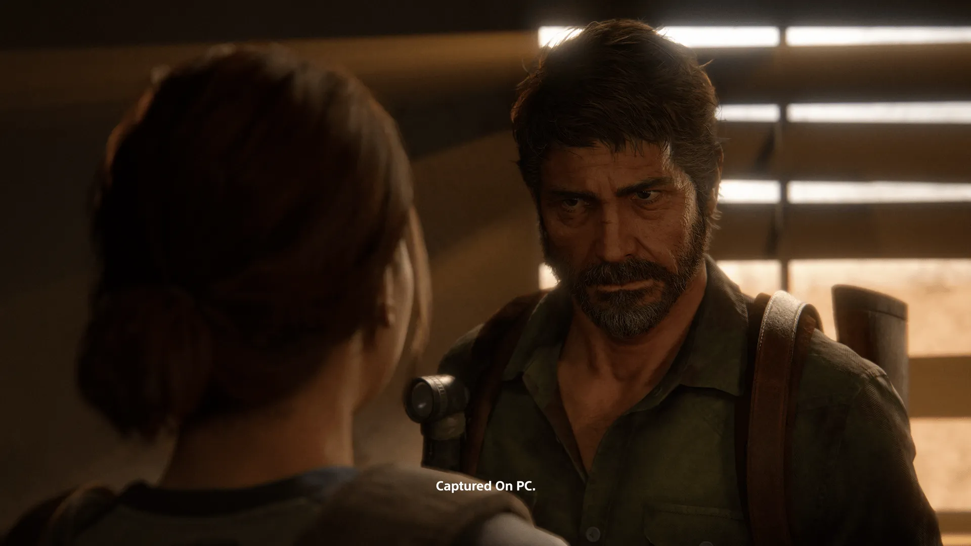 The Last of Us Part Two Remasterd PC